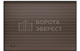 Противопожарные ворота Doorhan распашные 2500×5000 ВЭ-3976